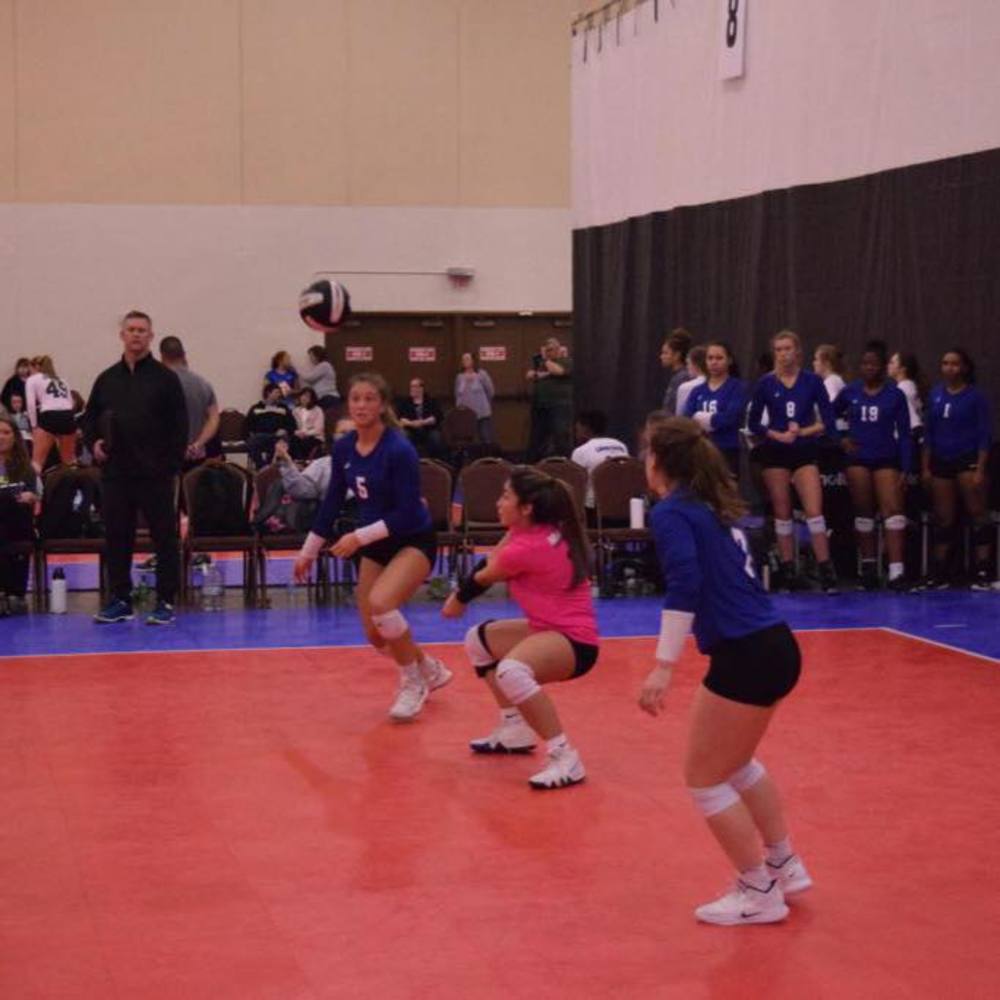 Meet your Posher, Coralys